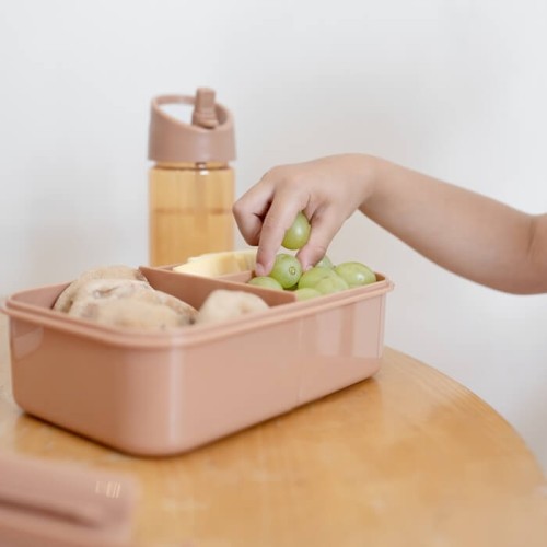 Lunchbox Bento Rust 3 Sprouts