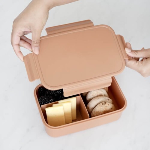 Lunchbox Bento Rust 3 Sprouts