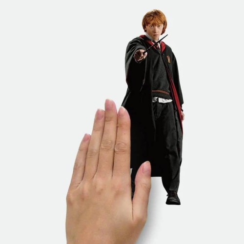 Naklejka Harry Potter i przyjaciele RoomMates