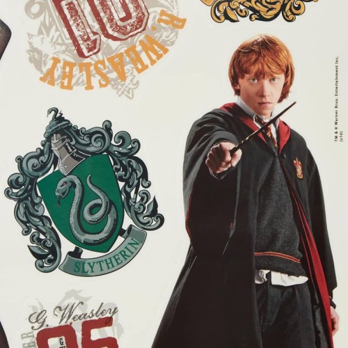 Naklejka Harry Potter i przyjaciele RoomMates
