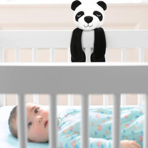Skip Hop Szumiąca Pozytywka Panda z Funkcją Nagrywania Dźwięku