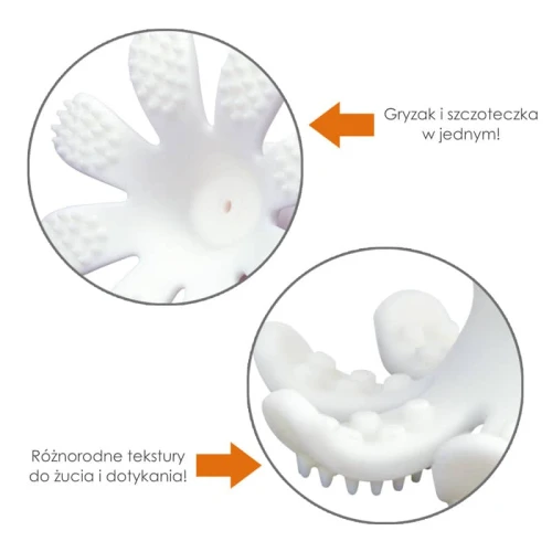 Gryzak ośmiornica Mombella