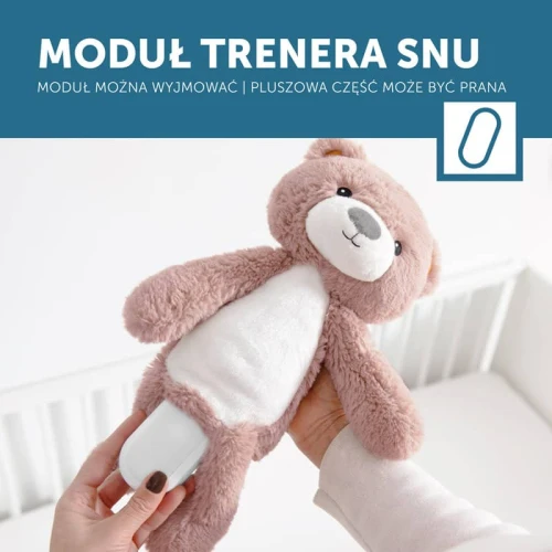 Zazu BRODY Trener Snu i Szumiąca Przytulanka Miś