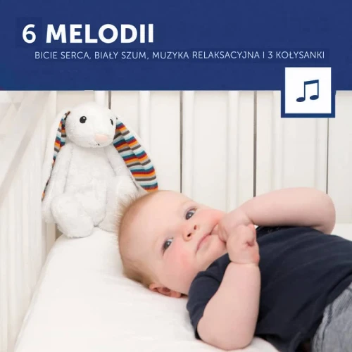 Królik Bibi Zazu 6 melodii