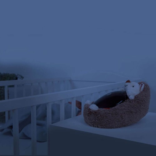 Projektor zachodzącego słońca jeż i czujnik płaczu Zazu